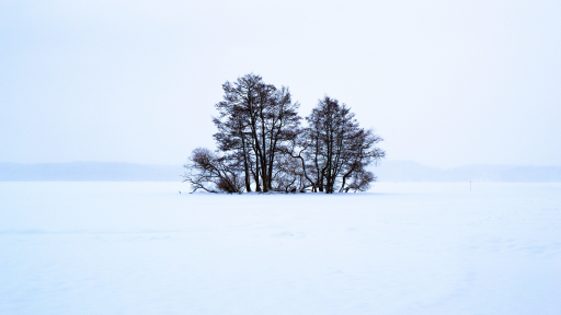 Suède sous la neige